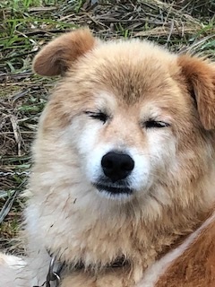 ○○○○○○○○イメージ